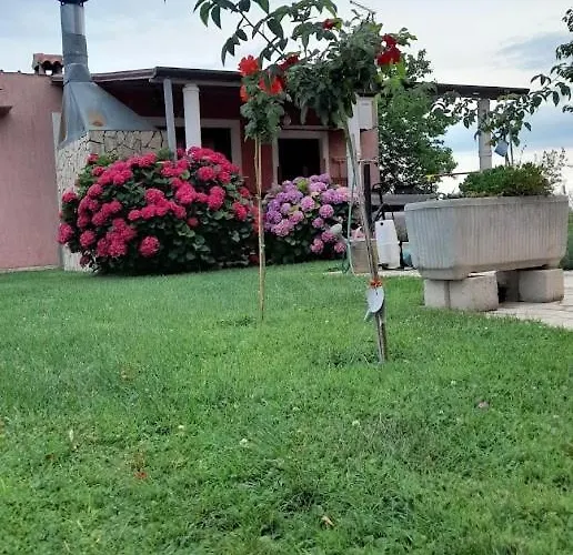 Dragica
