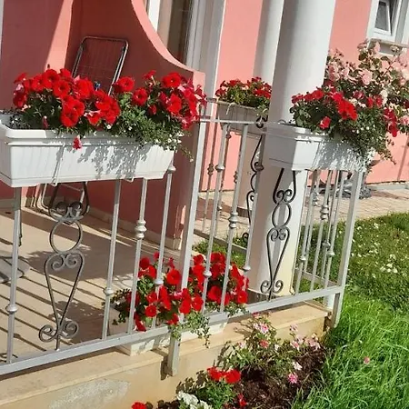Apartamento Dragica *