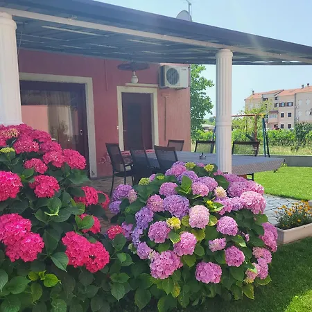 Apartamento Dragica