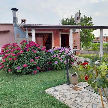 Dragica Apartamento *