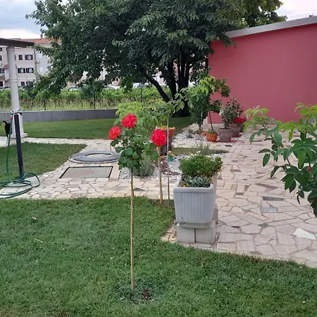 Dragica Poreč