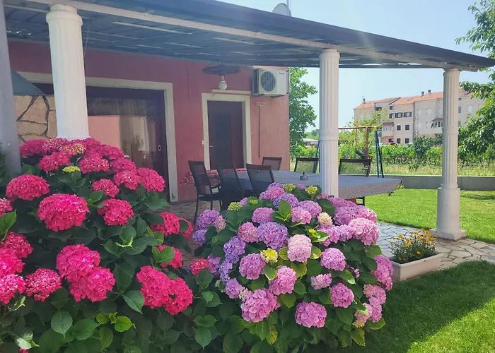 Apartmán Dragica